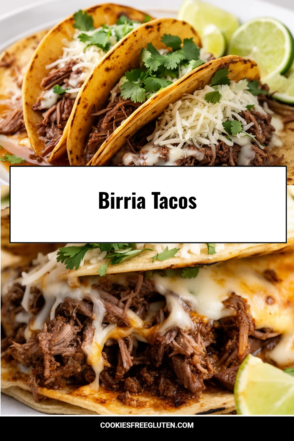 Birria Tacos