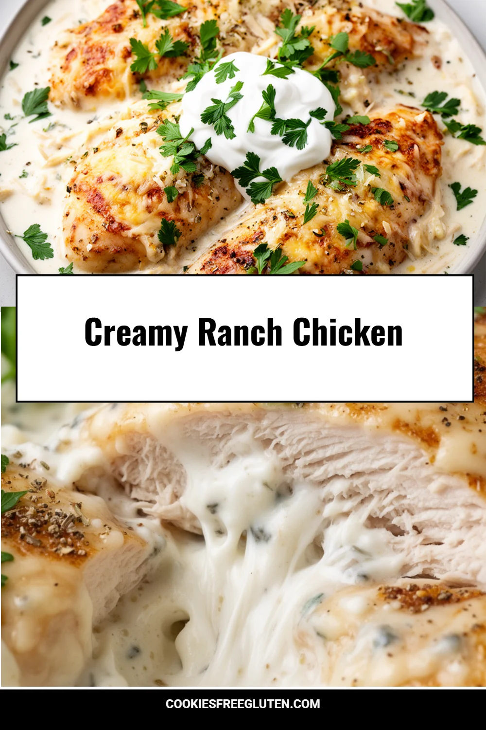 Creamy Ranch Chicken