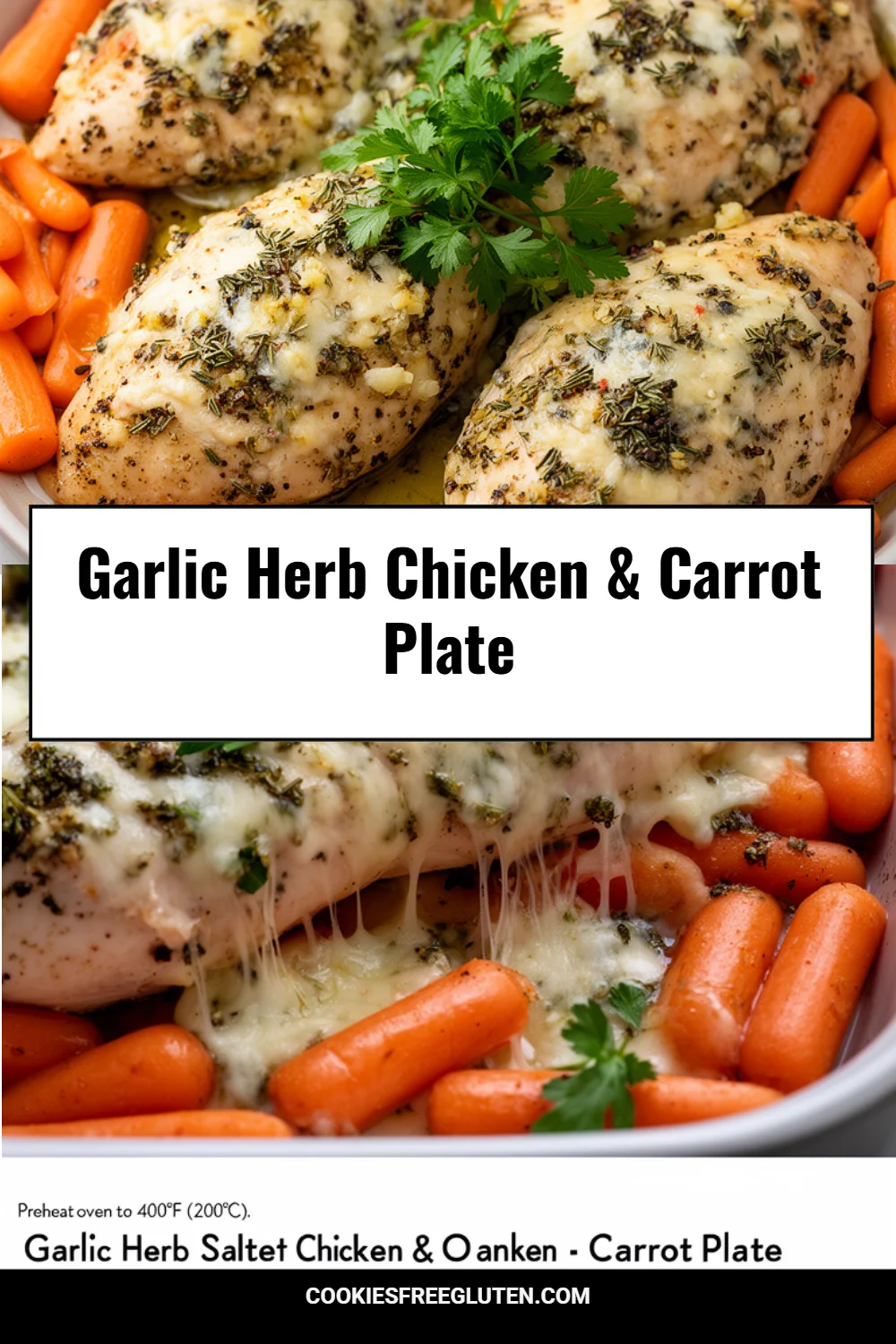Garlic Herb Chicken & Carrot Plate